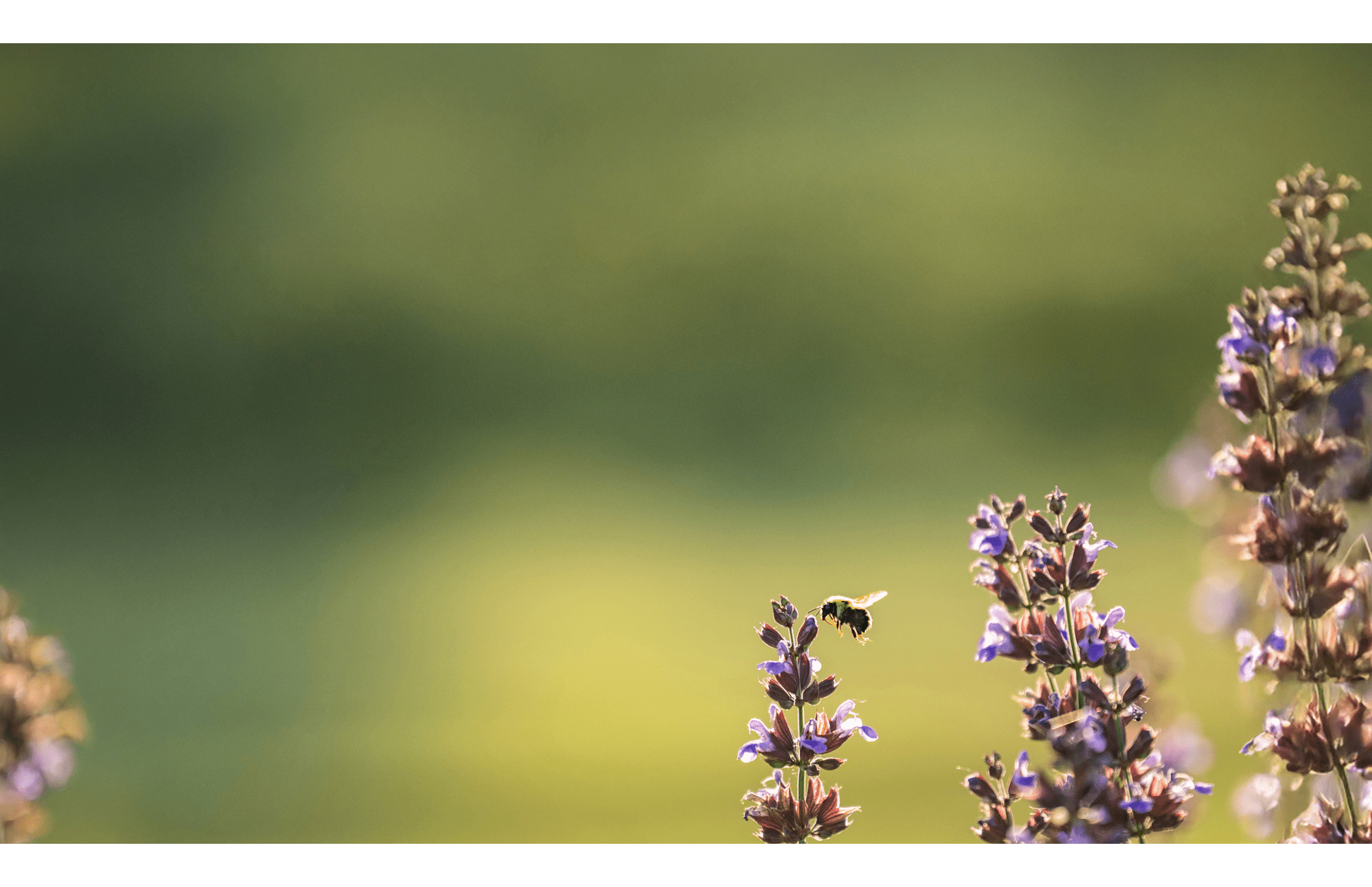 The Living Kitchen is your source for exclusive stories about design, lifestyle, food, destinations, and luxury.