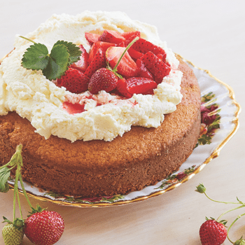 Read Food Article - Perfect Pastry