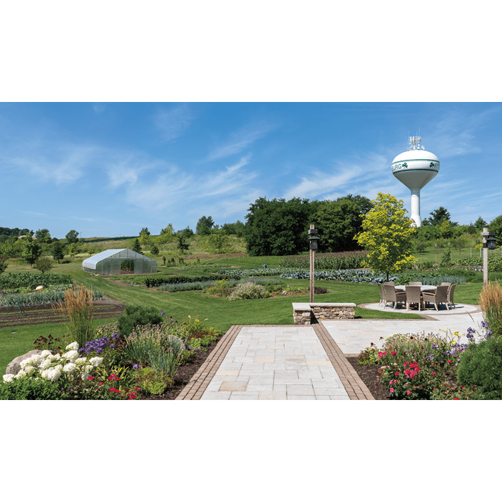 Outside of the Harvest Haven, behind the barn, eloquently demonstrates the farm-to-table aesthetic of the location.