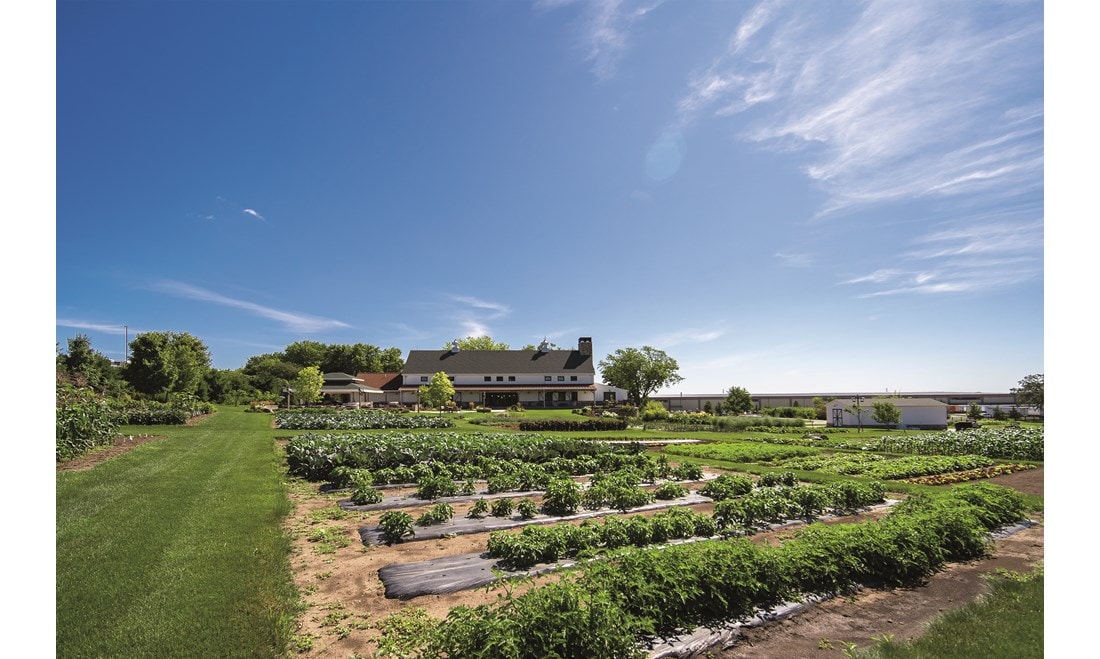 The Garden at Harvest Haven