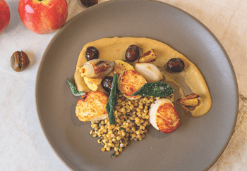 Scallops, Cousous & Velouté Recipe