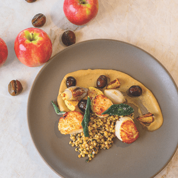 Scallops, Couscous & Velouté