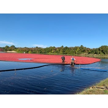 Decas Cranberry Products, Inc. in Carver, Massachusetts, value environmental stewardship and sustainable farming.