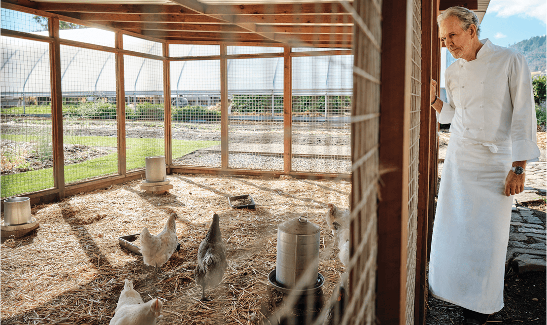 The French Laundry also has an accompanying farm which allows for many fresh ingredients to be used in their kitchen daily.