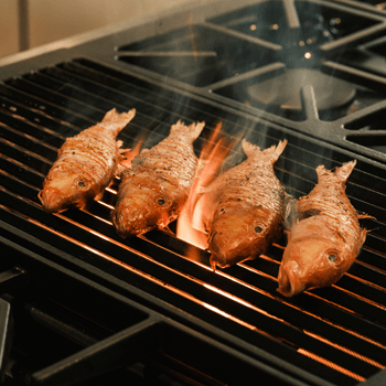 Read Lifestyle Recipe - Red Mullet, Parsnip Puree, Sundried Tomato Tapenade