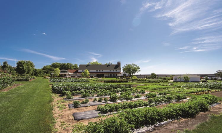 The Garden at Harvest Haven