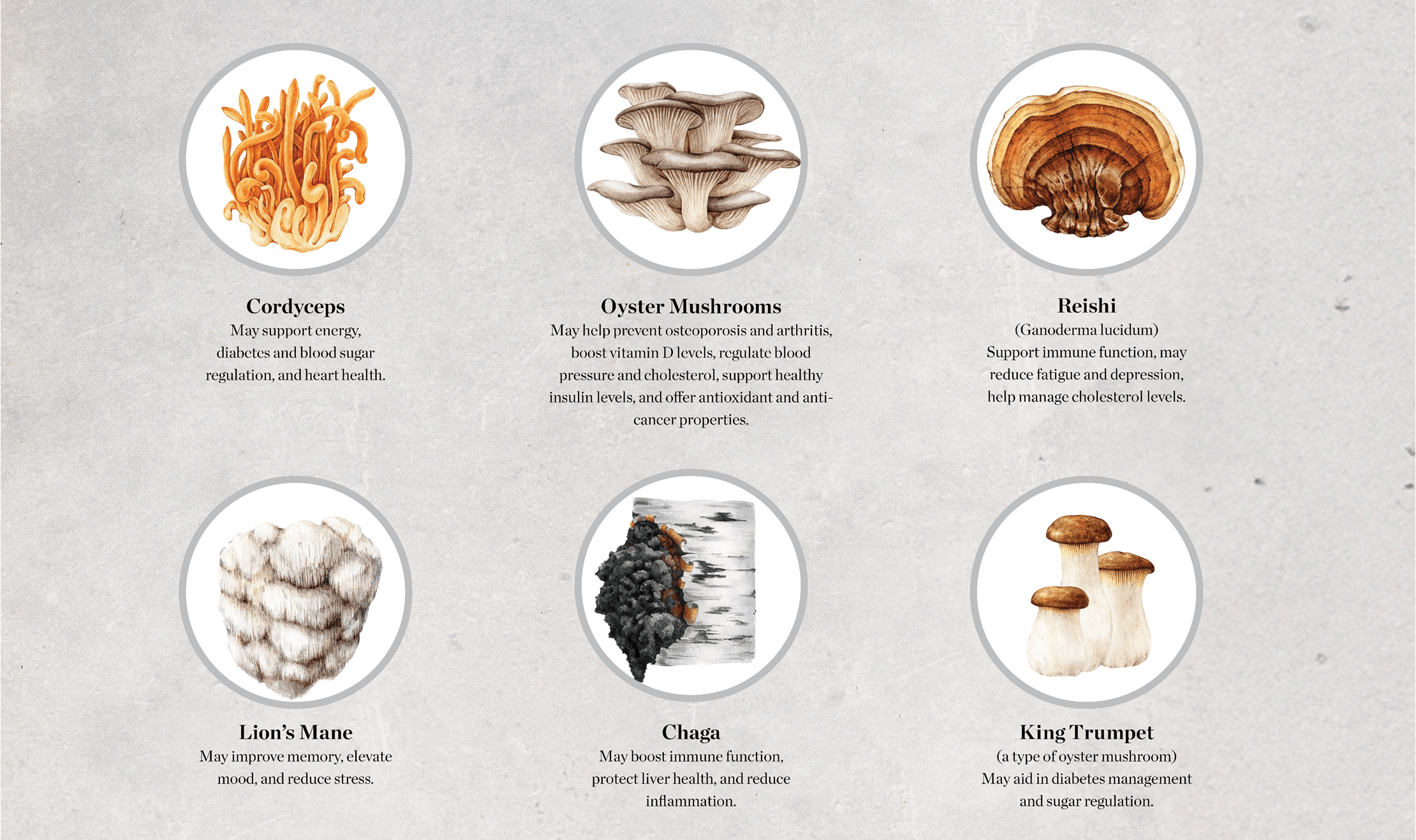 A short description of cordyceps, oyster mushrooms, reishi, lion's mane, chaga, and king trumpet mushrooms with their health benefits.