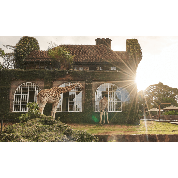 Read Places Article - A Head Above the Rest