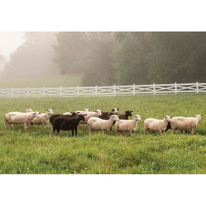 Read Places Article - A Mountain Haven - Blackberry Farm