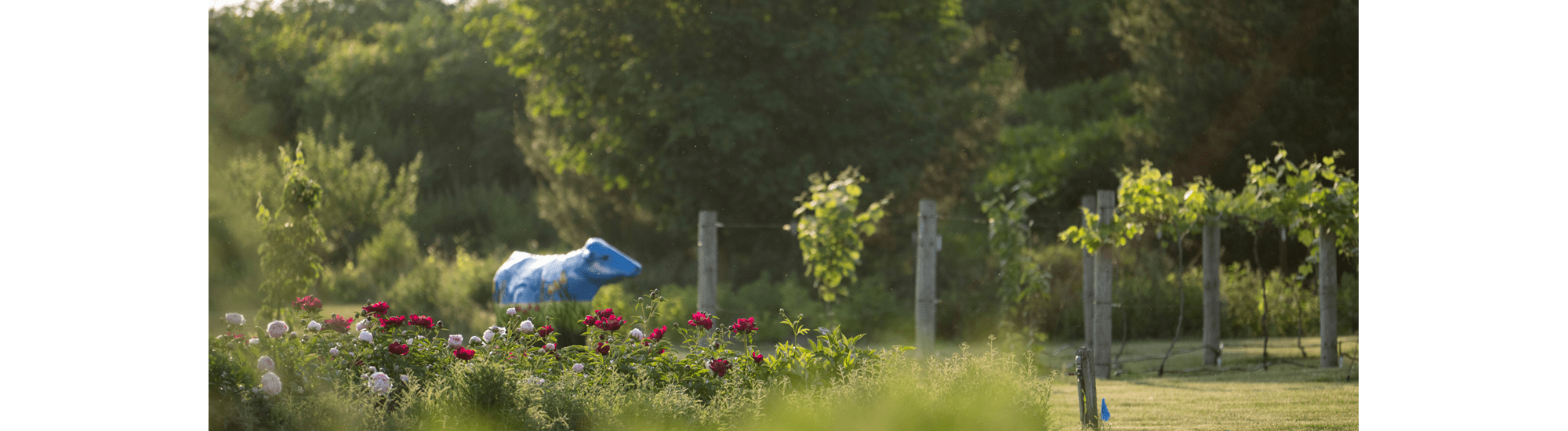 Lifestyle design stories showcasing the art of living beautiful both inside and outside the home.