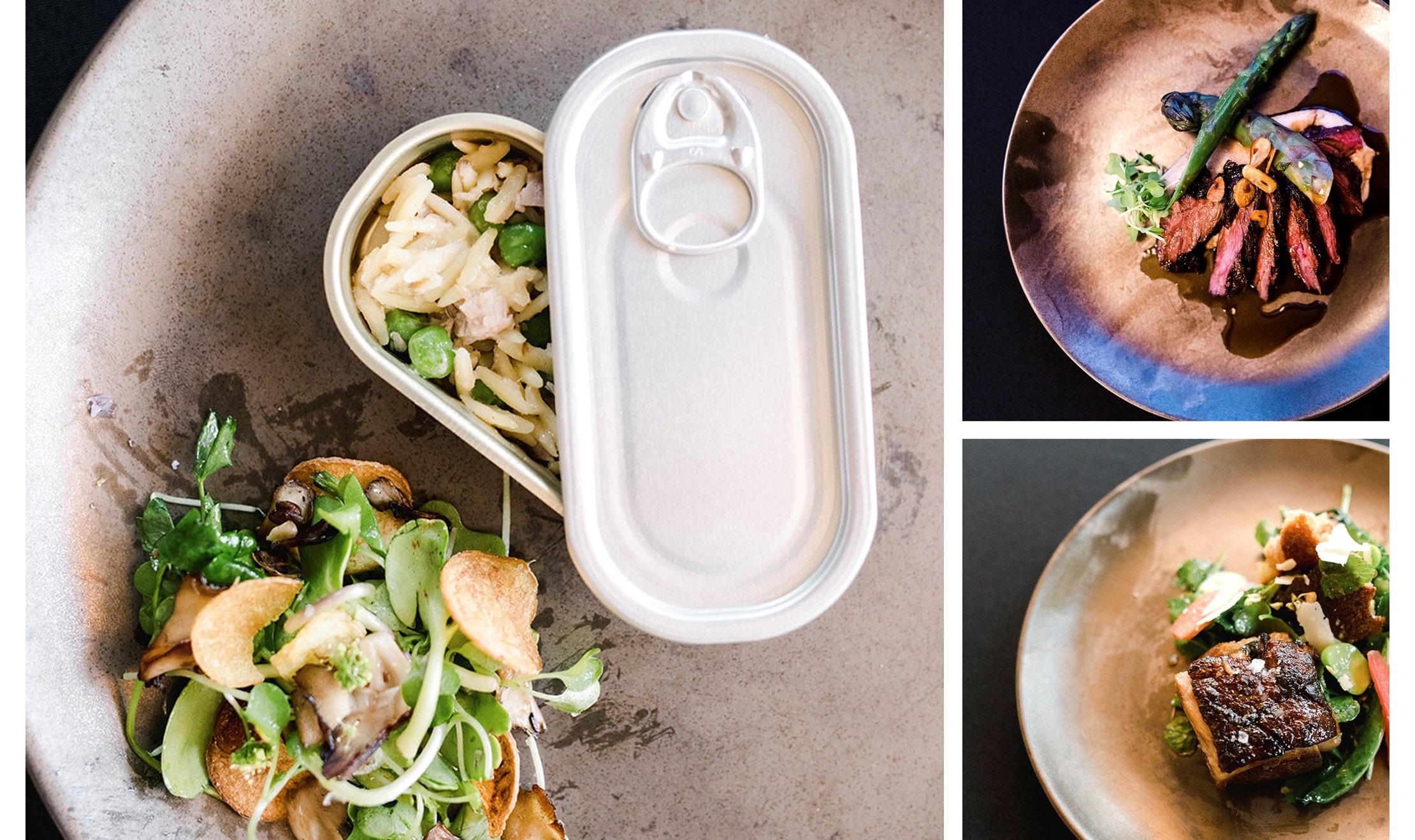 Some of the dishes that delighted Paranjape's guests included (clockwise from left:) Tuna Confit, Hangar Steak with Black Asparagus, and Bread Salad with Sherry Glazed Pork Belly.