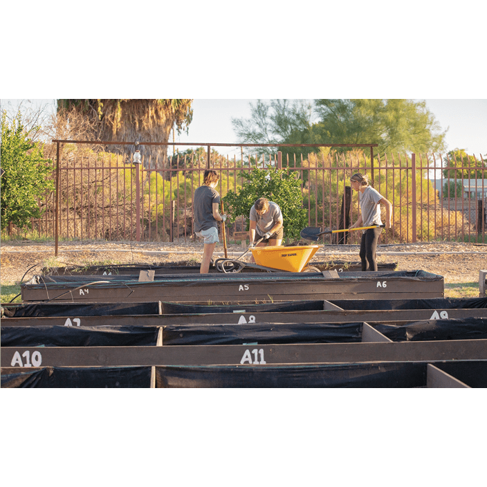 Urban Farming Education offers hands-on experiences for students to grow, harvest, and prep fruits and vegetables.