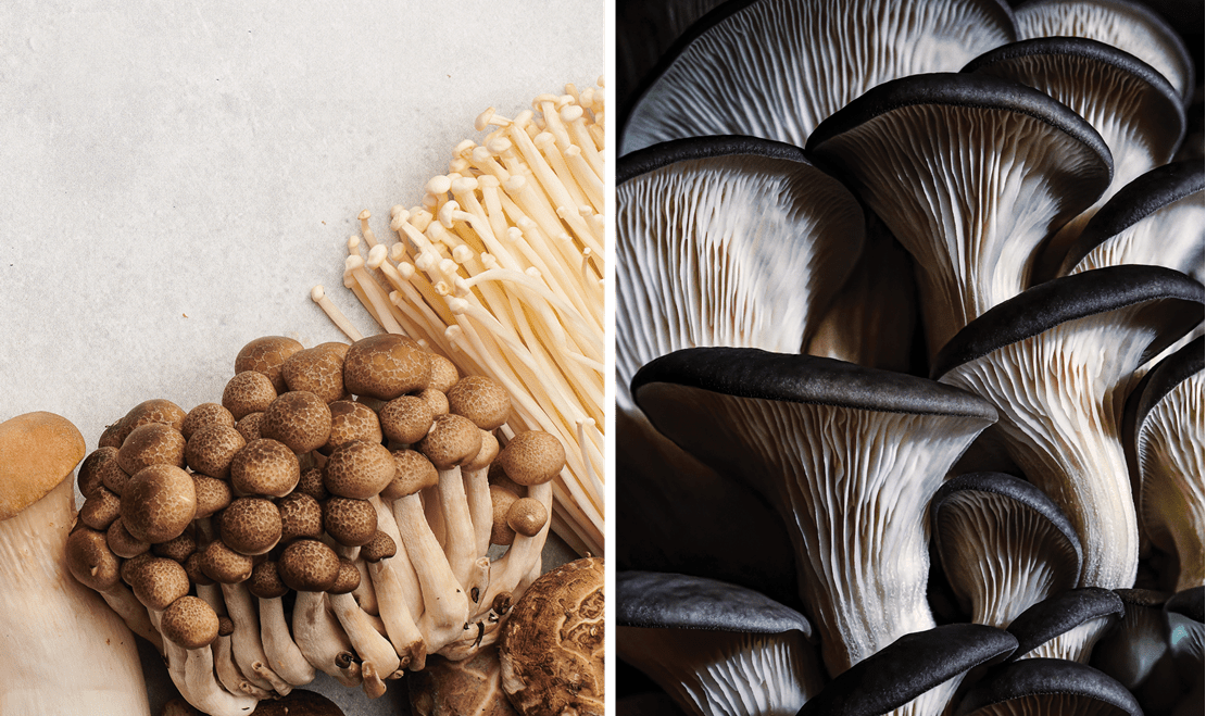 Left: multiple mushroom varieties laid out on a table. Right: multiple king trumpet mushrooms laid on top of each other.