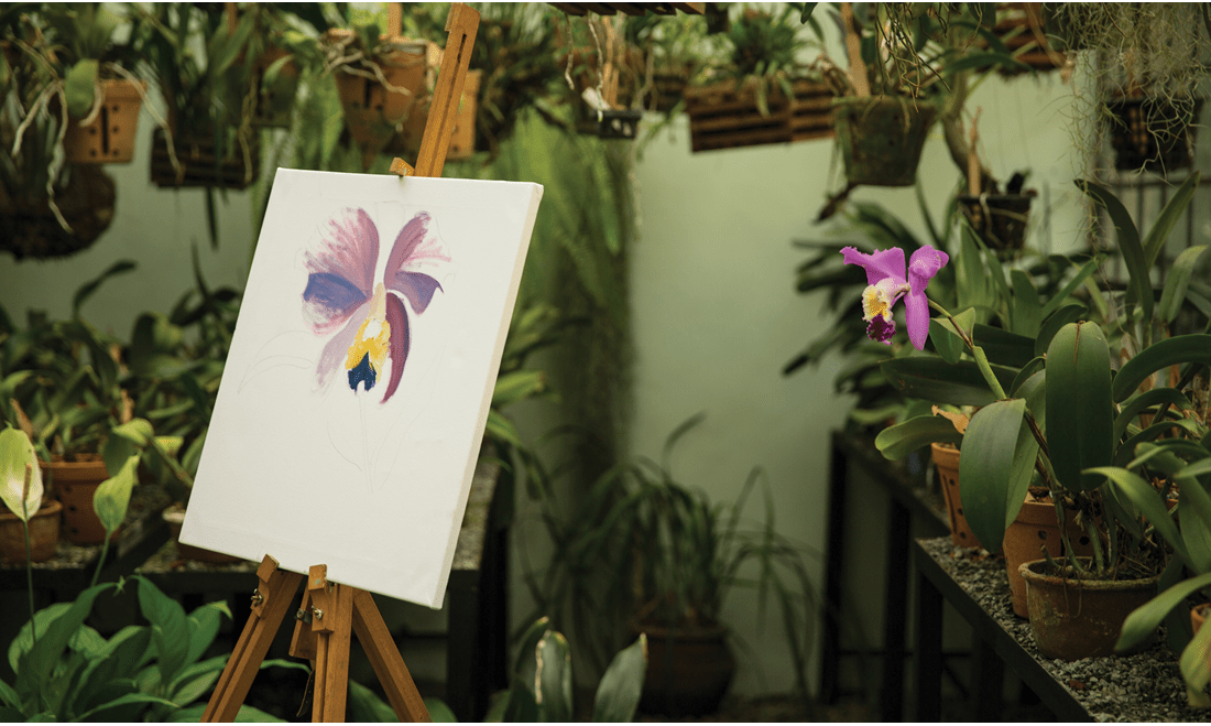 An easel with a hand painted orchid in a garden of orchids in the Orchid House at the Giraffe Manor.