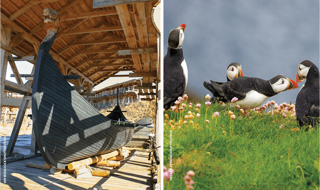 The destination can be better than the journey, like viewing an ancient boat, pictured left, or seabirds, pictured right.