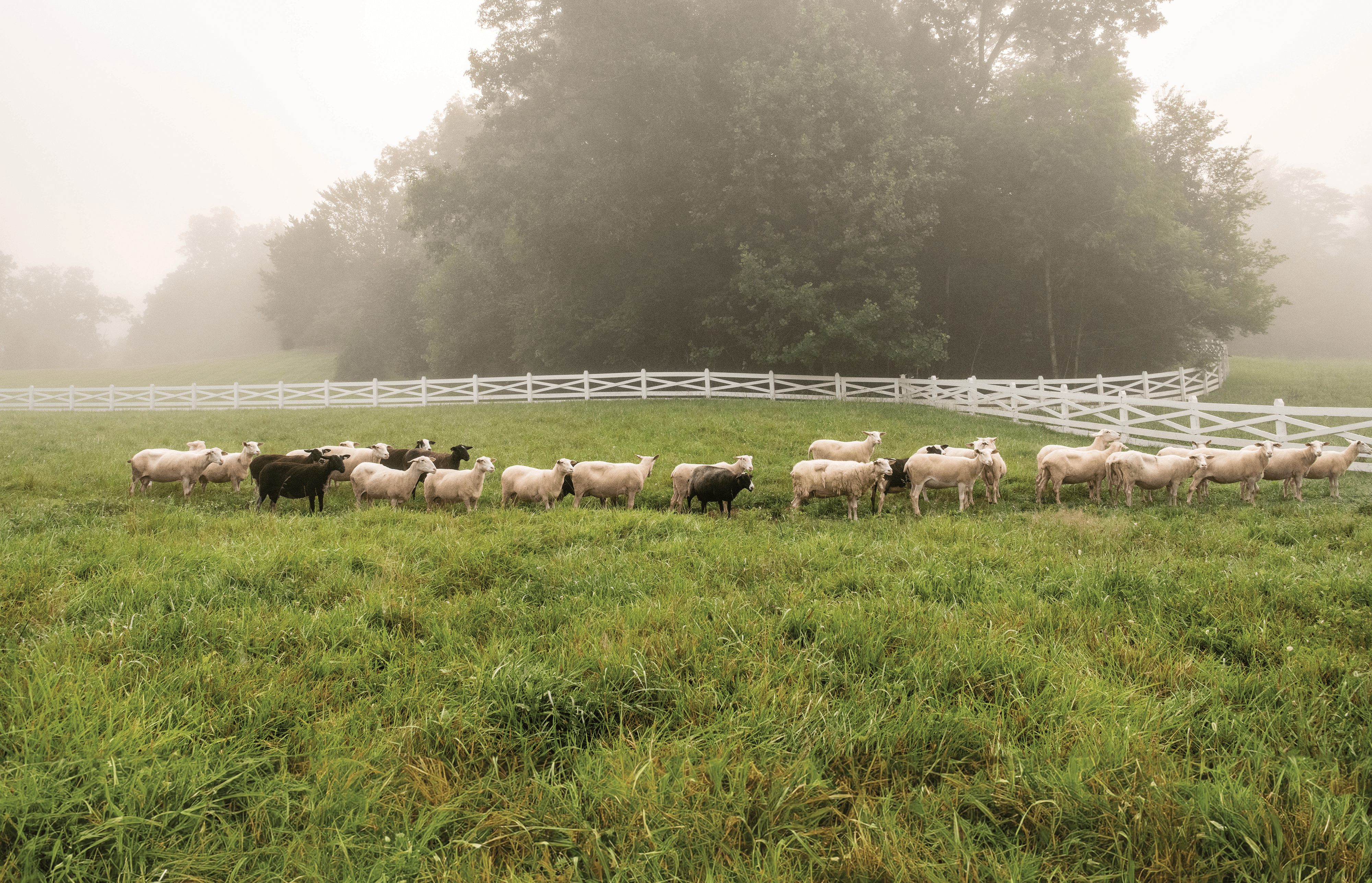Blackberry Farm Tennessee