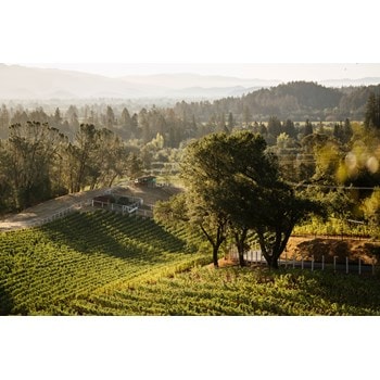 Read Places Article - Entwined in Napa