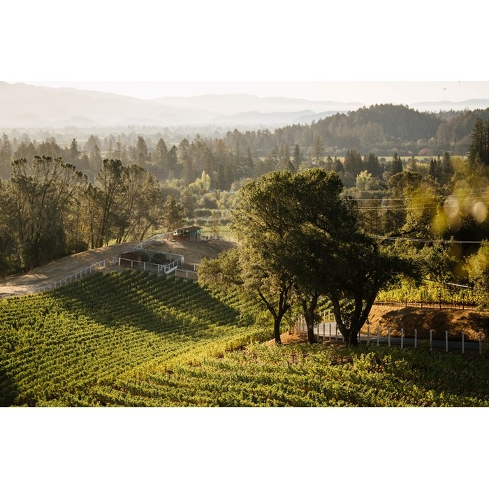 Three Napa Valley vineyards have properties and processes that are as distinctive as their wines.