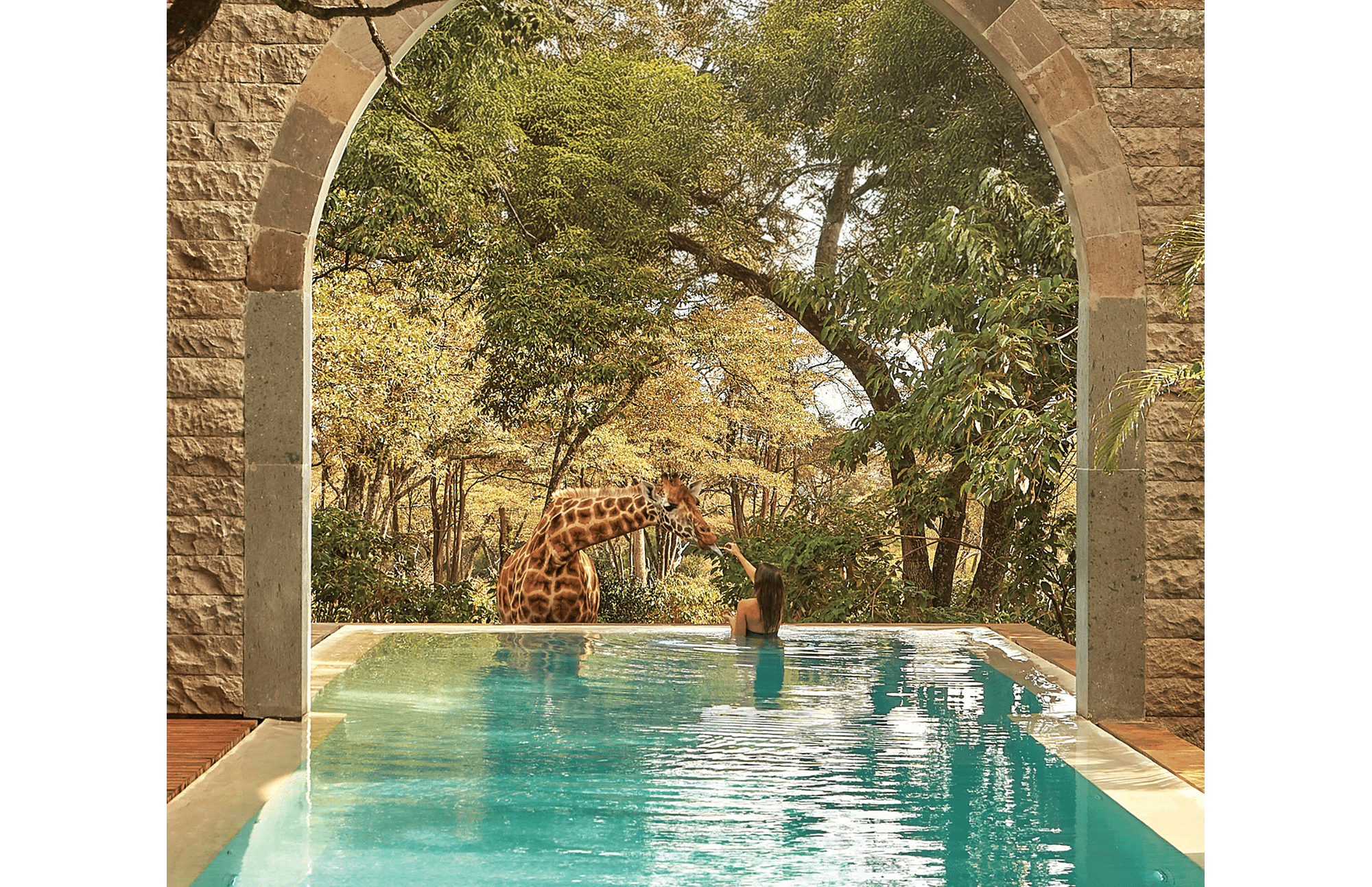 A woman in an outdoor, inground pool feeding a giraffe at Giraffe Manor in Nairobi, Kenya.