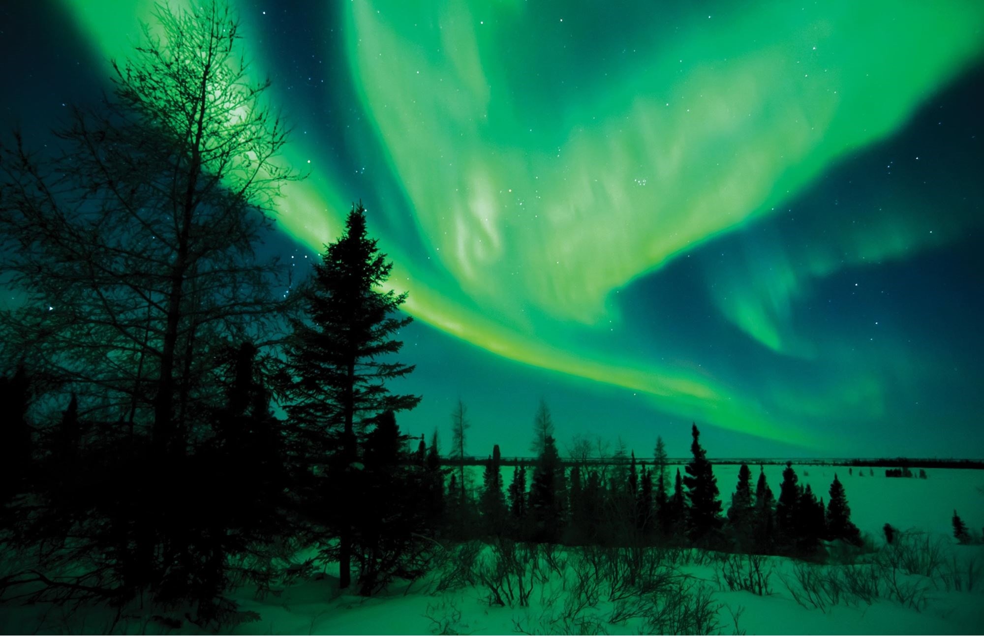 Named for the Roman goddess of dawn, the aurora borealis, the northern lights s a celestial display seen only in areas near the North Pole.
