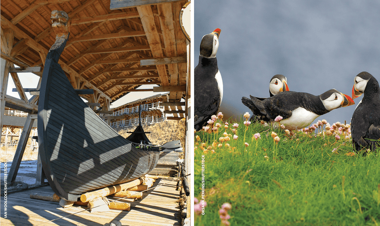 The destination can be better than the journey, like viewing an ancient boat, pictured left, or seabirds, pictured right.