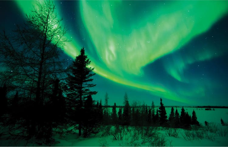 Named for the Roman goddess of dawn, the aurora borealis, the northern lights s a celestial display seen only in areas near the North Pole.