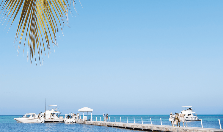 An image of the coastline with individuals standing on a boating dock with many different boats in the background.